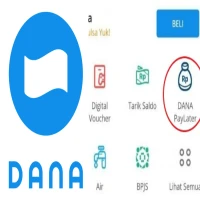 Cara Bayar Cicilan DANA Paylater, Bisa Lewat Minimarket