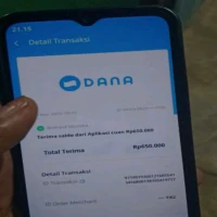 Bagaimana jika nomor HP DANA hilang