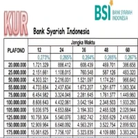 Tabel Angsuran KUR BSI Terbaru 2025 Plafon Hingga Rp500 Juta!
