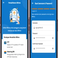 Cara Daftar BRImo lewat HP, Kini Gak Perlu Repot ke Bank