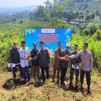 dcastello subang