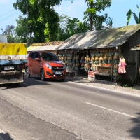 penjual nanas di subang