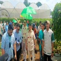 PT East West Seed Indonesia