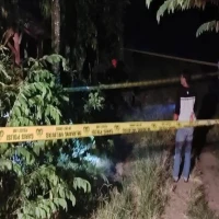 bendungan salamdarma