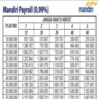 Butuh Dana Cepat? Ini Pilihan Pinjaman Non KUR Mandiri hingga Rp100 Juta!