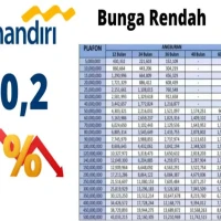 Cara Pinjam Uang di Bank Mandiri Agar Cepat Cair Tanpa Ribet