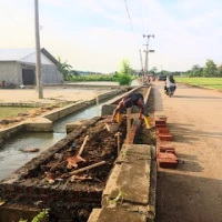 Kepala Desa Tanjungsari Bara