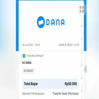 Cara Mudah Pinjam Uang 50 Ribu di Aplikasi DANA Tanpa KTP