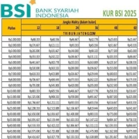 Info Terbaru Pinjaman KUR Bank BSI Plafon 50 Juta,  Cek Syarat & Tabel Angsuran Terbarunya