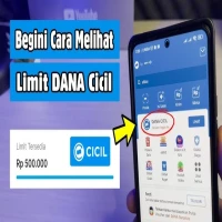 Cara pinjam saldo DANA di aplikasi DANA dan Berapa Limit Dana Cicil di Aplikasi Dana. SUMBER FOTO .youtube.com/@DeraHidayat