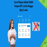 Cara Pinjam Saldo DANA