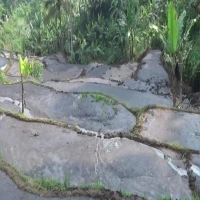 PT Lembu Jantan Perkasa