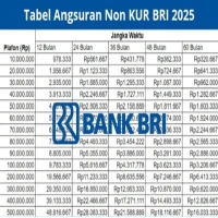 Pinjaman Untuk PNS di Bank BRI Apa Saja? Berikut Plafon, Cicilan, dan Cara Gampang Dapat Duit Tambahan!