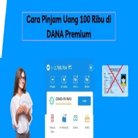 Cara Pinjam Uang 100 Ribu di DANA Premium