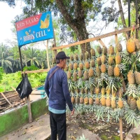Jalancagak Subang