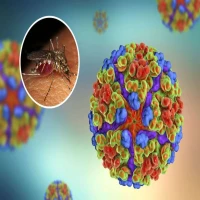 Chikungunya