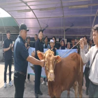Perwakilan PT. TKG Taekwang Indonesia menyerahkan secara simbolis hewan kurban kepada Lurah Karanganyar untuk dibagikan ke masyarakat, Kamis (5/6/2025).