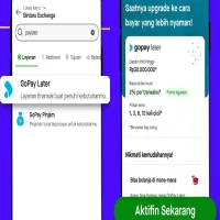 Cara Daftar dan Aktifkan GoPay Later, Nikmati Berbagai Promo yang Tersedia