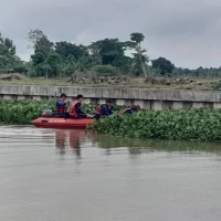 curi gabah subang