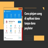 Cara Pinjam Uang di Aplikasi Tanpa Dana Paylater