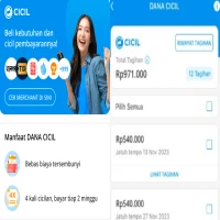 Cara Pinjam Uang di DANA Premium, Dapat Rp 200.000 Langsung Cair