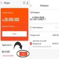 Berbagai Cara Bayar Tagihan SPinjam, Bisa Lewat Transfer Bank