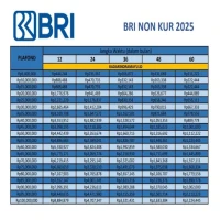 Pinjaman Online BRI Langsung Cair, Solusi Cepat di 2025