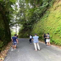 Jalan Pedati