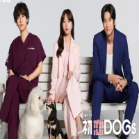 Sinopsis Dorama Jepang Love is for The Dogs, Ada Na In Woo