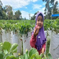 Belajar di Luar Kelas? Ini 7 Tempat Wisata Edukatif Terbaik di Subang!