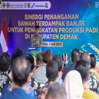 Petani terdampak banjir di Demak
